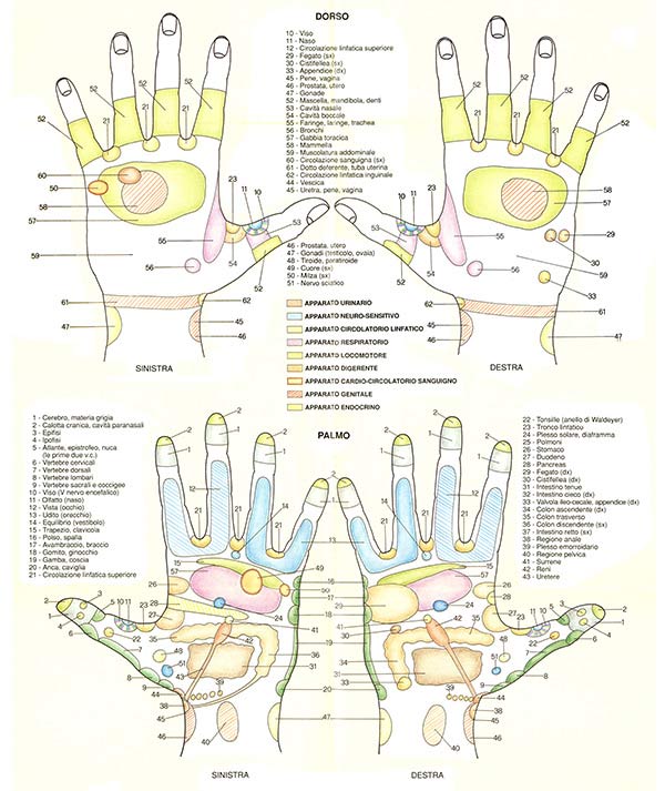 riflessologia plantare prostatica